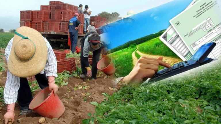 Παίρνουν “κεφάλια” οι αυξήσεις στον ΕΝΦΙΑ-Θα ζαλιστούν 1,6 εκατ, φορολογούμενοι που έχουν αγροτεμάχια 