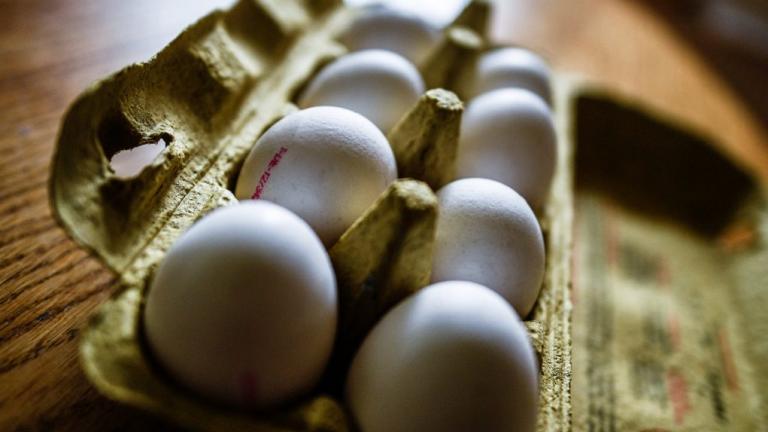 Προσοχή! Οι 17 χώρες που έχουν πληγεί από τα μολυσμένα αυγά