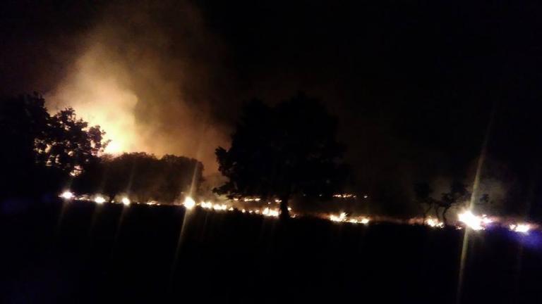 Αλεξανδρούπολη: Σε εξέλιξη φωτιά σε πευκοδάσος στις Φέρες - Το τελευταίο 24ωρο εκδηλώθηκαν 55 αγροτοδασικές φωτιές