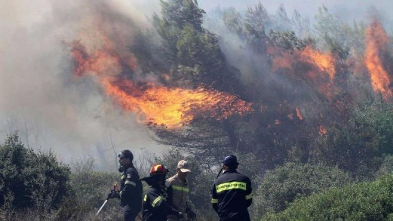 Νέα πυρκαγιά στην Ζάκυνθο-Υψηλός ο κίνδυνος πυρκαγιάς και σήμερα
