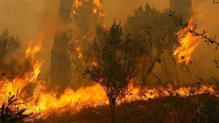 Ανεξέλεγκτη η πυρκαγιά στο Σελάκανο Ιεράπετρας Λασιθίου (BINTEO)