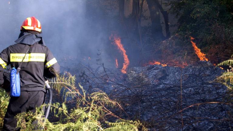  Μεγάλες οι καταστροφές από την πυρκαγιά στο Σελάκανο Λασιθίου