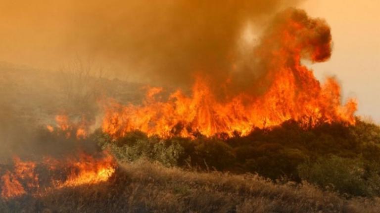 Μεγάλες φωτιές τώρα σε Αττική και Β. Εύβοια - Κοντά σε οικισμό η πυρκαγιά στις Ερυθρές Αττικής