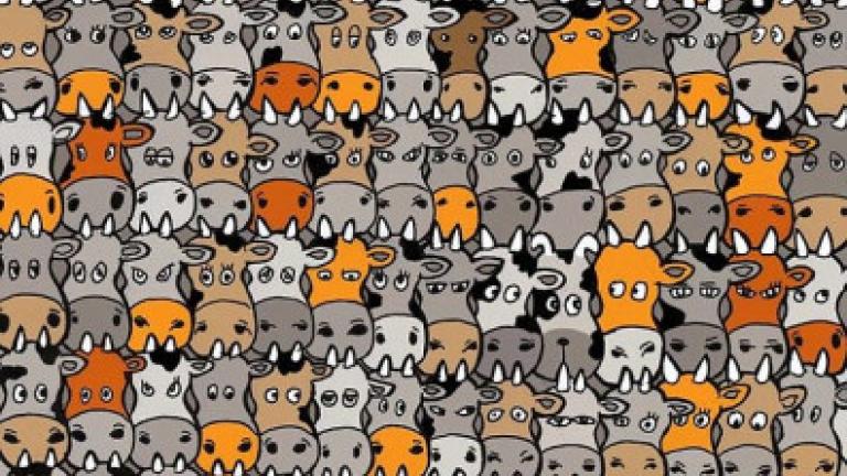Βλέπεις τον σκύλο ανάμεσα στις αγελάδες;