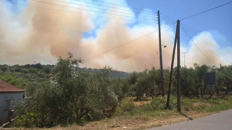 Σε ύφεση οι πυρκαγιές σε Κορώνη και Κρυονέρι-Στην Κορώνη «έγλυψε» αυλές η φωτιά