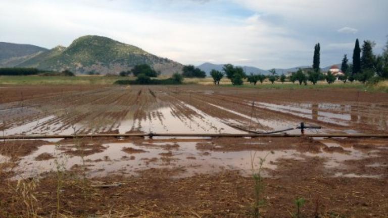 Μεγάλες καταστροφές στις καλλιέργειες της Καρδίτσας από τις βροχοπτώσεις
