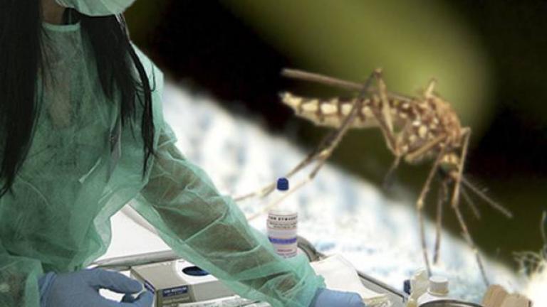 Μια νεκρή γυναίκα από τον ιό του Δυτικού Νείλου στην Αργολίδα- Καμπανάκι από το ΚΕΕΛΠΝΟ για κρούσματα λοίμωξης στην ίδια περιοχή