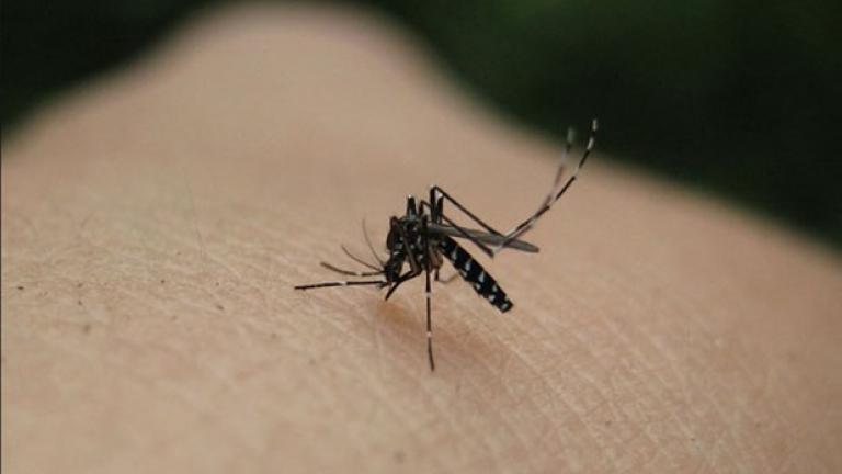 "Καραντίνα" αιμοδοσίας σε 12 Δήμους λόγω ελονοσίας