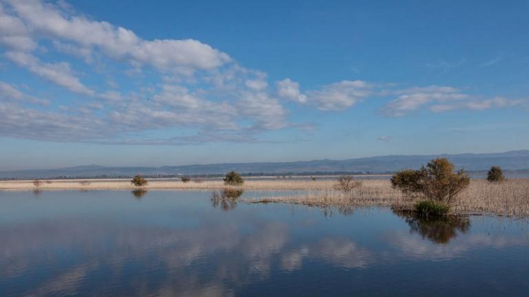 Θεσσαλονίκη: Νεκρός εντοπίστηκε στη λίμνη του Αγίου Βασιλείου ο 55χρονος που αγνοείτο από τη Δευτέρα