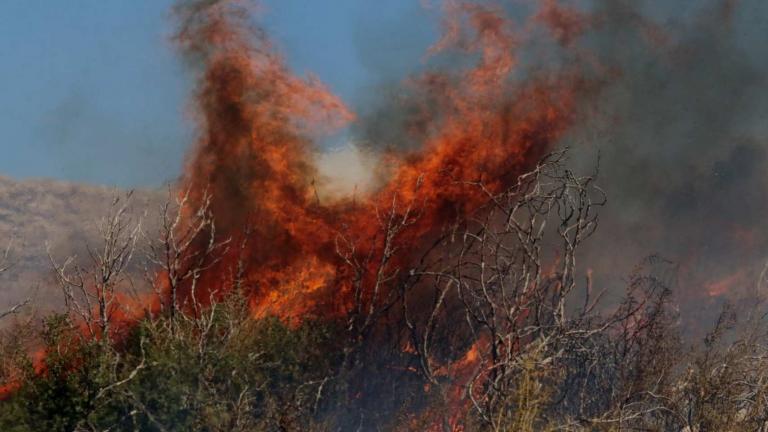 Πυρκαγιά στη Νεμέα - Ενισχύθηκαν οι πυροσβεστικές δυνάμεις 