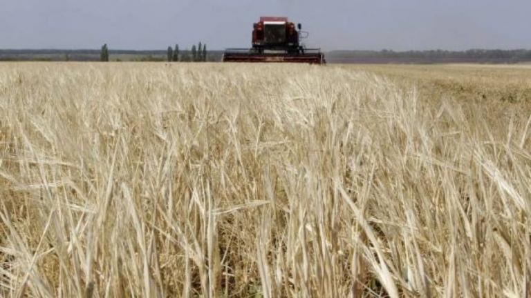 Μόσχα: Η Τουρκία δεν επιβεβαιώνει το εμπάργκο στις εισαγωγές σιτηρών από τη Ρωσία