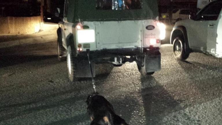 Ανθρώπινη Κτηνωδία! Έσερνε σκύλο με το αυτοκίνητο του 63χρονος στο Αγρίνιο