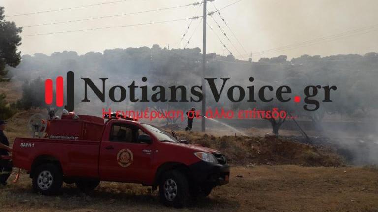 Πυρκαγιά εκδηλώθηκε το απόγευμα στην Βάρη, στην περιοχή Χέρωμα, κοντά σε κατοικίες (ΦΩΤΟ-ΒΙΝΤΕΟ)