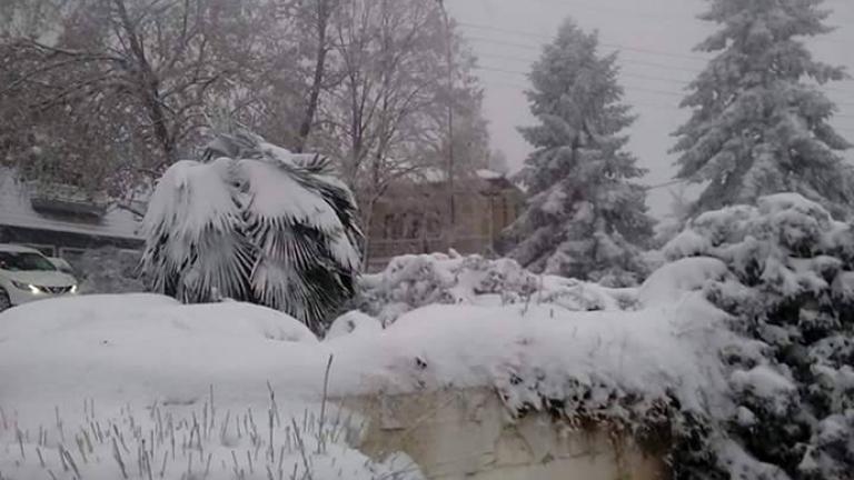Μακεδονία: Θερμοκρασίες υπό το μηδέν σε αρκετές περιοχές - Πού χρειάζονται αντιολισθητικές αλυσίδες