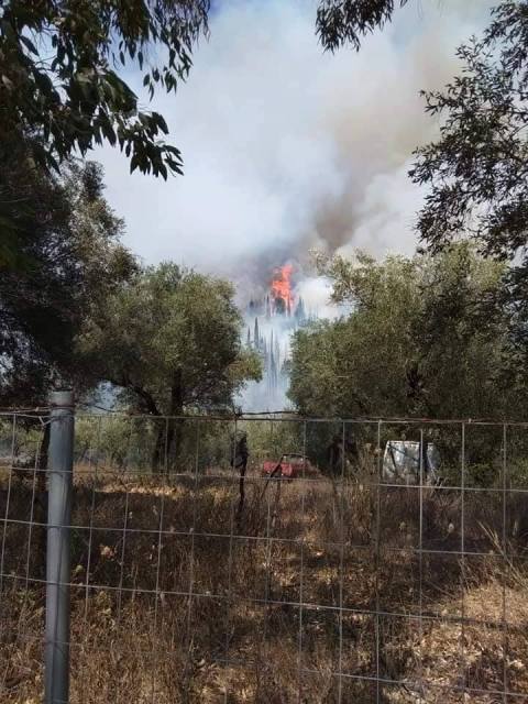 Φωτιά στην Κέρκυρα 