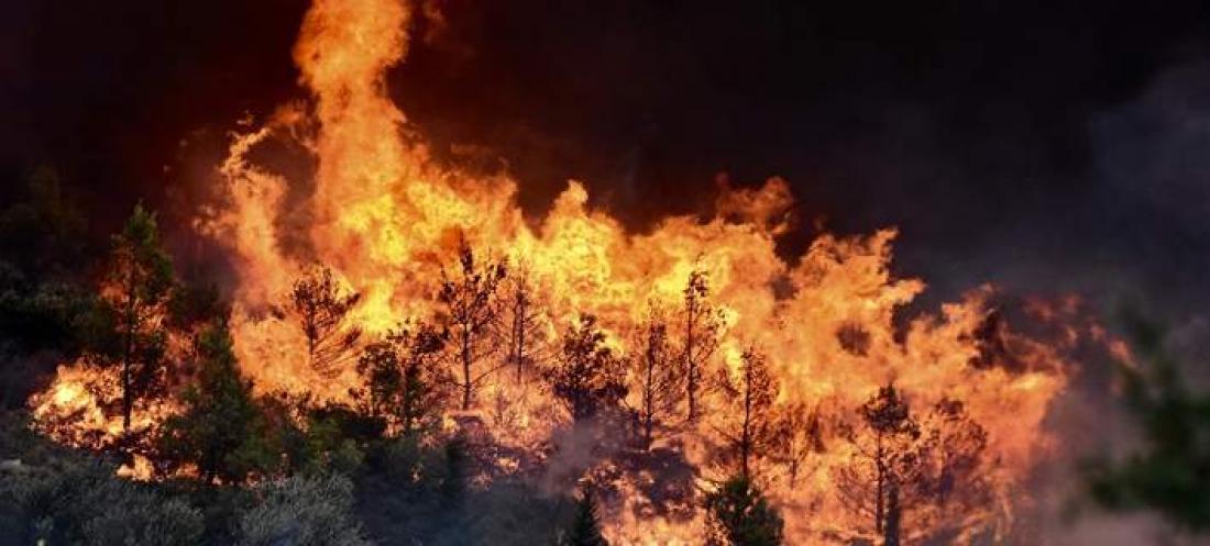 Πυρκαγιά Πικέρμι: Κραυγή απόγνωσης στο διαδίκτυο: Η μάνα μου και η θεία μου έχουν εγκλωβιστεί! | ΕΛΛΑΔΑ | thepressroom.gr