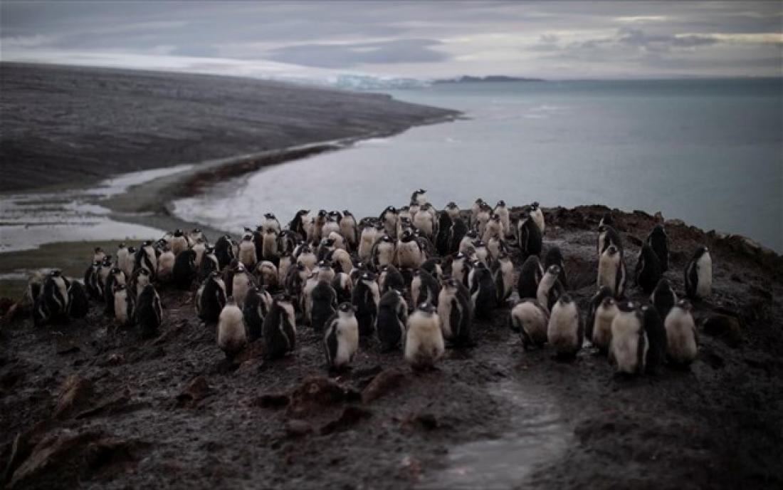 https://www.thepressroom.gr/sites/default/files/styles/article/public/2020-02/pigkouinoi.jpg?itok=aTqEqVYA https://www.thepressroom.gr/sites/default/files/styles/article/public/2020-02/pigkouinoi.jpg?itok=aTqEqVYA