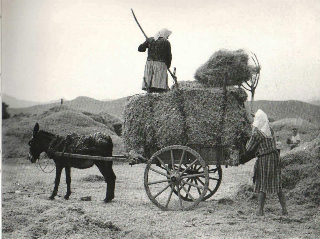 Σαν σήμερα 19 Νοεμβρίου 1960 δίνεται για πρώτη φορά σύνταξη στους αγρότες