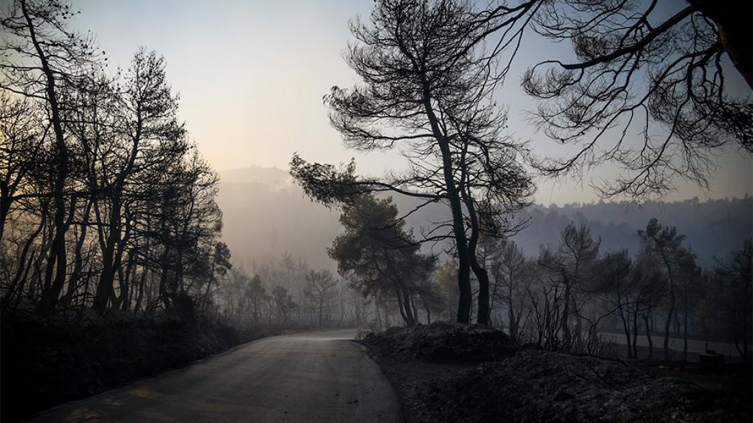 Meteo: Τo ένα τρίτο των δασών της Εύβοιας κάηκε από την πρόσφατη πυρκαγιά