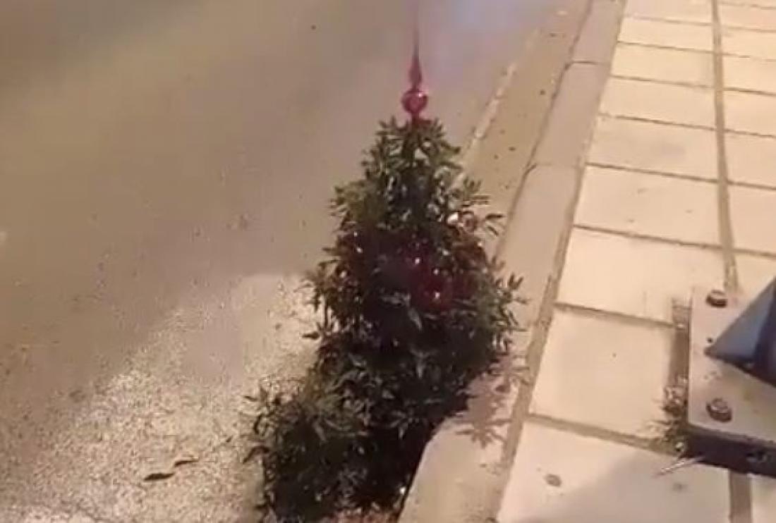 Χριστούγεννα 2016: Θεσσαλονικείς στόλισαν αληθινό δεντράκι σε κεντρικό δρόμο