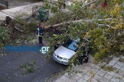 Θεσσαλονίκη: Ραγδαία αλλαγή του καιρού - Πτώσεις δέντρων λόγω ισχυρών ανέμων