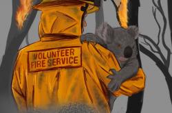 Αυστραλία: Οι πυρκαγιές, ένα "ολοκαύτωμα" για την πανίδα, προειδοποιούν οι ειδικοί