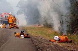 Ένα δισεκατομμύριο ζώα νεκρά από τις φωτιές στην Αυστραλία