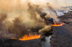 Τσερνόμπιλ: Πλησιάζει τον κατεστραμμένο αντιδραστήρα η τεράστια δασική πυρκαγιά (ΒΙΝΤΕΟ)