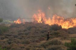 Πυρκαγιά στη Νάξο - Ενισχυμένη η παρέμβαση της Πυροσβεστικής
