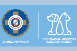 Ιστοσελίδα του Δήμου Αθηναίων για τα αδέσποτα ζώα