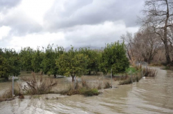 Αίτημα για να κηρυχθεί ο Δήμος Αγρινίου σε κατάσταση έκτακτης ανάγκης 