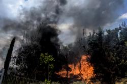 Σε εξέλιξη βρίσκεται πυρκαγιά σε δασική έκταση στην περιοχή Άνω Ψωφίδα, στα Καλάβρυτα Αχαΐας 
