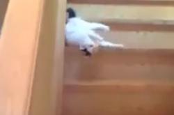 Πώς κατεβαίνουν αυτές οι γάτες, τις σκάλες;