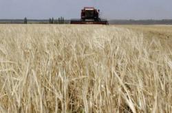 Μόσχα: Η Τουρκία δεν επιβεβαιώνει το εμπάργκο στις εισαγωγές σιτηρών από τη Ρωσία