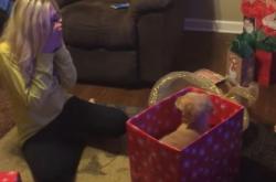 Χριστούγεννα 2016: Της έκανε δώρο ένα σκυλάκι!