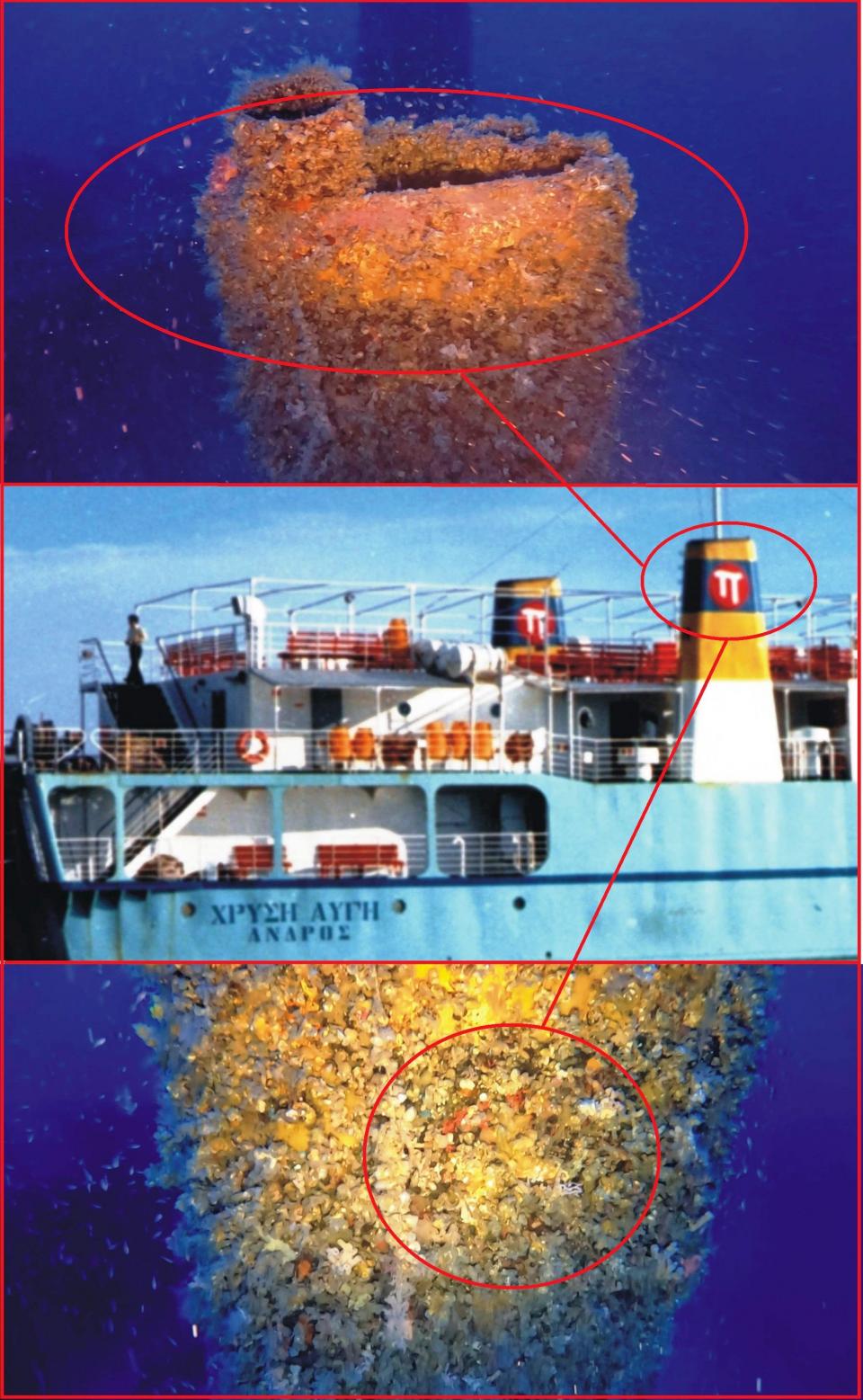  Οι χαρακτηριστικές τσιμινιέρες του ναυαγίου Χρυσή Αυγή που πάρα την έκρηξη και την πυρκαγιά που ακλούθησε κατά την βύθιση του πλοίου 40 χρόνια πριν ακόμη και σήμερα διακρίνονται τα χρώματα ¨σινιάλα¨ της τότε πλοιοκτήτριας εταιρείας. 