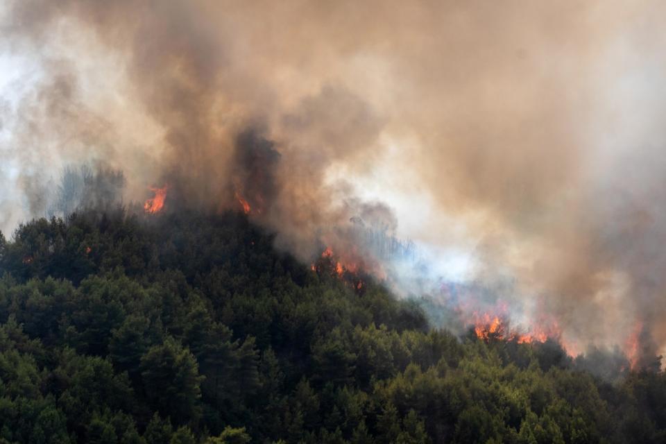 EUROKINISSI/ILIALIVE.GR ΓΙΑΝΝΗΣ ΣΠΙΡΟΥΝΗΣ