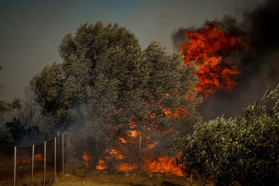 ΣΩΤΗΡΗΣ ΔΗΜΗΤΡΟΠΟΥΛΟΣ / EUROKINISSI