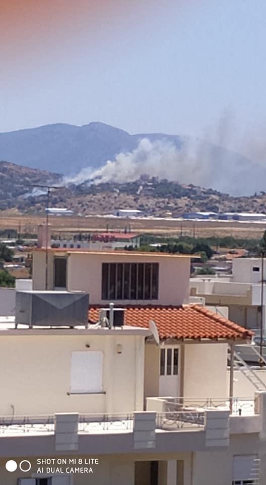 ΕΚΤΑΚΤΗ ΕΙΔΗΣΗ: Φωτιά τώρα στα Μέγαρα