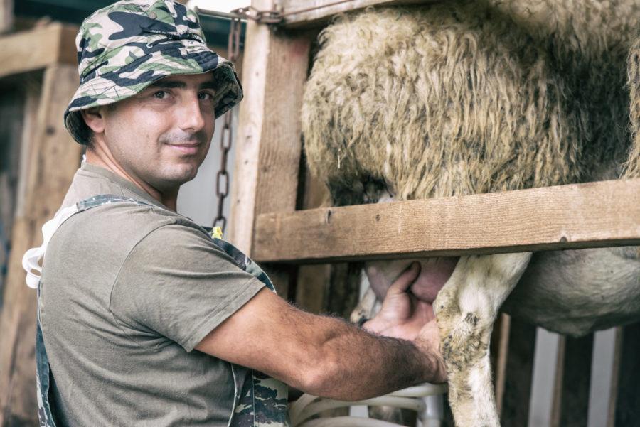 «Προκαλούν» με νέα φωτογράφιση νέοι αγρότες από τα Φάρσαλα