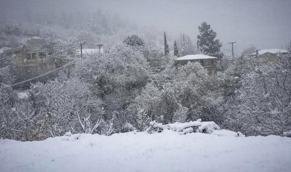 ΧΙΟΝΙΑΣ