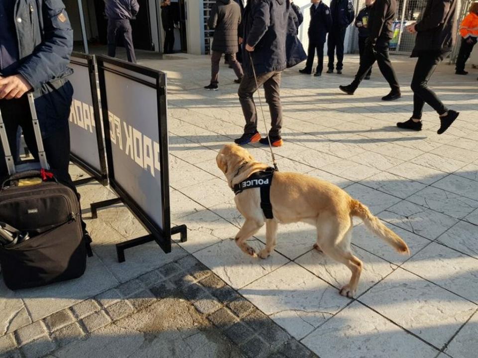 παοκ ολυμπιακος τουμπα