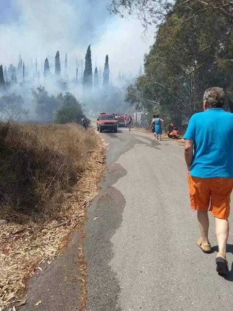 Φωτιά στην Κέρκυρα 