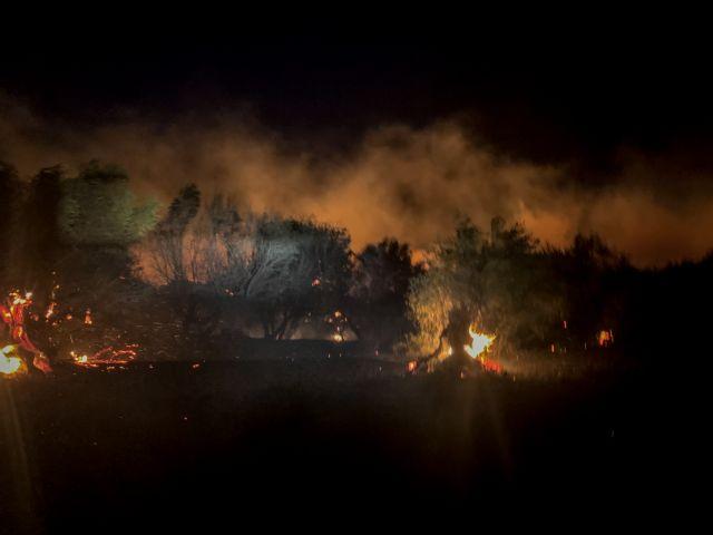 Ζάκυνθος: Ολονύχτια μάχη με τις φλόγες (ΦΩΤΟ-ΒΙΝΤΕΟ)