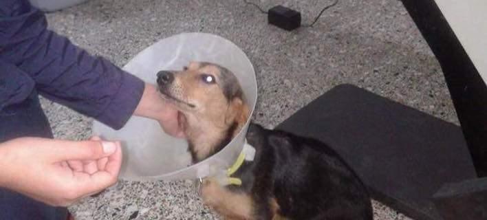 "