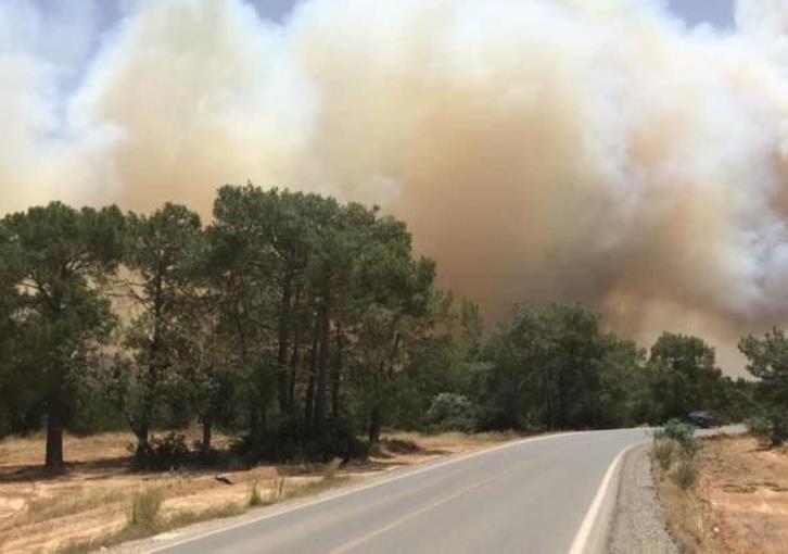 Κύπρος: Κόλαση φωτιάς στα Κατεχόμενα - Έχει στείλει βοήθεια η Λευκωσία (ΒΙΝΤΕΟ-ΦΩΤΙΑ)
