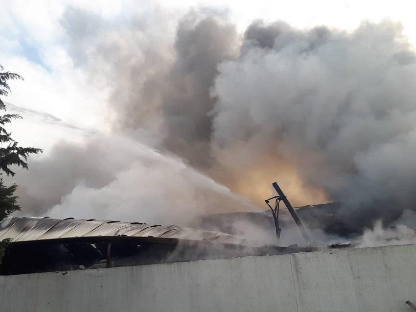 Τρομακτική καταστροφή στη Θεσσαλονίκη: Φωτιά έκανε στάχτη 3 μεγάλες βιομηχανίες (ΦΩΤΟ-ΒΙΝΤΕΟ)