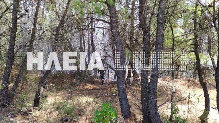 Πυρκαγιά τώρα στην Ηλεία-Δόθηκε εντολή εκκένωσης του χωριού Ξηρόκαμπος