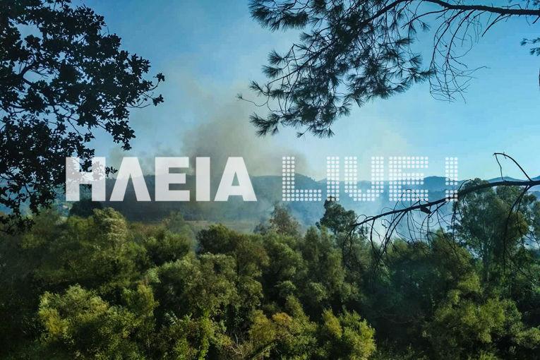 Φωτιά Ηλεία: Μεγάλη κινητοποίηση της Πυροσβεστικής για να περιορίσουν τις φλόγες