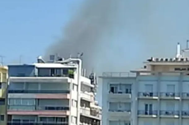 Φωτιά Χαλκίδα: Η άμεση κινητοποίηση απέτρεψε τα χειρότερα σε κατοικημένη περιοχή στο Βαθροβούνι (ΒΙΝΤΕΟ-ΦΩΤΟ)